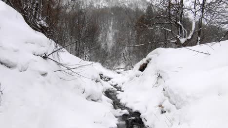 Winter-scene:-a-small-stream-of-water-flows-trhough-a-snow-covererd-forest-in-a-mountainous-ares