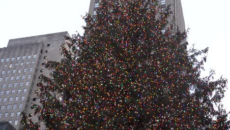 Rockefeller-center-Christmas-tree-New-York