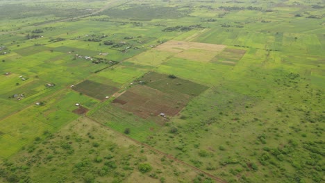 Idyllic-aerial-panorama-of-lush-green-plantation-near-Loitokitok,-Kenya