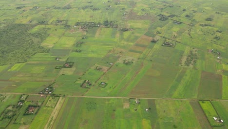 Rural-landscape-of-farmland,-Loitokitok,-Kenya,-aerial-view-of-green-plantations