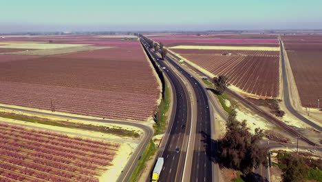 Highway-99-in-Central-California-surrounded-by-pink-almond-tree-blossoms,-aerial-view
