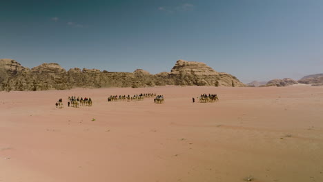 Caravan-Of-Camels-Walking-In-The-Wadi-Rum-Desert-In-Jordan-On-A-Sunny-Day---aerial-drone-shot