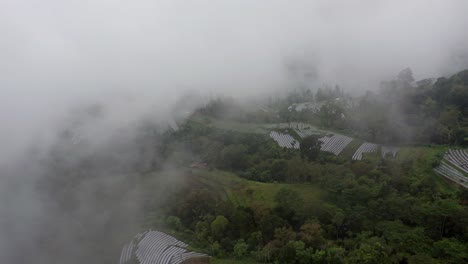 Mountainous-farm-land-with-thick-mist-above-in-tropical-Kintamani-landscape,-aerial