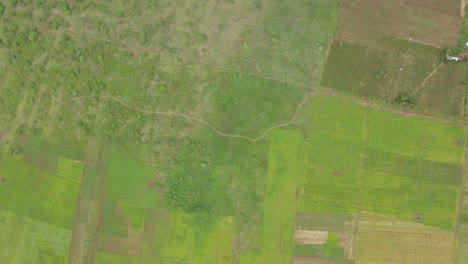 Abstract-pattern-of-cultivated-fields-at-Loitokitok,-Kenya,-aerial-top-down