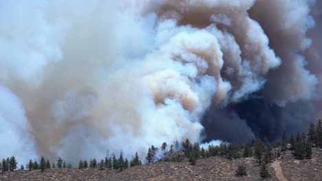 Gran-Nube-De-Humo-De-Incendios-Forestales-Que-Se-Eleva,-Causada-Por-Los-Incendios-Forestales-En-Las-Tierras-Altas-De-California
