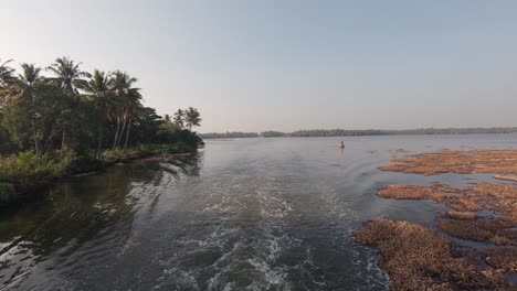 Tropical-river-shore-in-Kerala,-vessel-sailing-along-water-plants,-Alappuzha,-India