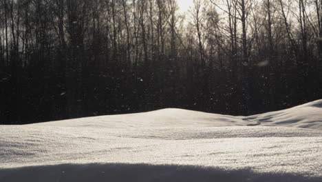 Schöner-Hintergrundbeleuchteter-Schnee,-Der-An-Einem-Sonnigen-Wintertag-In-Nordeuropa-In-Zeitlupe-Fällt
