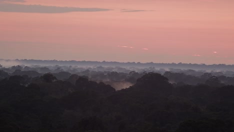 Schwenken-Sie-über-Die-Weite-Des-Peruanischen-Regenwaldes,-Der-Bei-Sonnenuntergang-Von-Nebel-Bedeckt-Ist