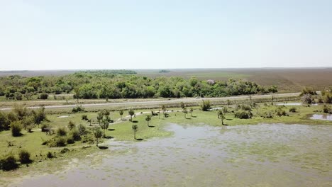 Aerial-view-of-Wetland-by-the-roadside