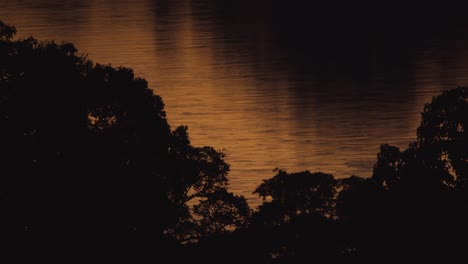 Amazon-River-at-sunset-flows-slowly-through-Tambopata-National-Reserve,-Peru