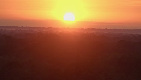 Sonnenaufgang-über-Dem-Regenwald-Im-Tambopata-Nationalreservat