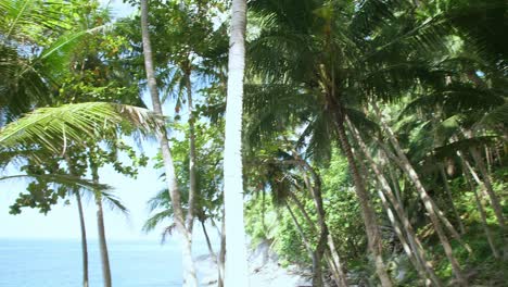 Kokospalmenblätter,-Die-Sich-Mit-Dem-Wind-Vom-Ozean-Bewegen,-Kontrastieren-Mit-Einem-Wunderschönen-Klaren-Blauen-Himmel
