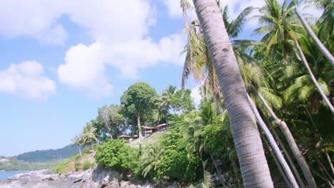 Kokospalmenblätter,-Die-Sich-Mit-Dem-Wind-Vom-Ozean-Bewegen,-Kontrastieren-Mit-Einem-Wunderschönen-Klaren-Blauen-Himmel