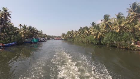 Boat-trip-along-Vembanad-Lake-surrounded-by-jungle-forest,-Alappuzha-In-India