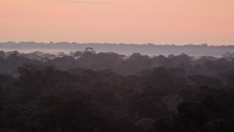 Soft-pastel-colors-of-dawn-sky-over-Tambopata-National-Reserve-rainforest,-Peru