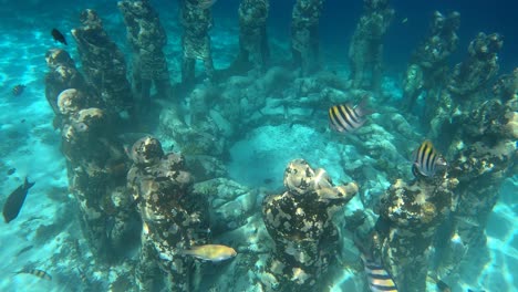 Beautiful-underwater-park-of-Gili-Meno-Indonesia-with-tropical-colorful-fish