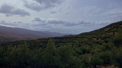 Timelapse-of-olive-fields-in-Mancha-Real,-Jaén,-Spain