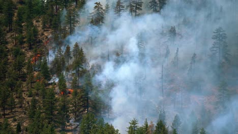 Dramatische-Landschaft-Mit-Flammen,-Brennenden-Bäumen-Und-Aufsteigendem-Rauch,-Lauffeuer-In-Den-USA