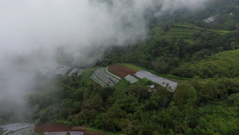 Campos-De-Hortalizas-En-Las-Montañas-De-Bali-Durante-El-Tiempo-Nublado,-Antena