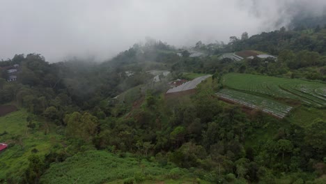 Farm-field-on-mountain-slope-in-middle-of-lush-green-jungle-with-mist,-aerial