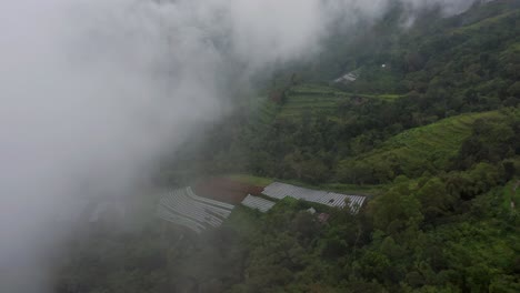 Grey-misty-hanging-above-secluded-local-farm-on-mountain-side-in-tropical-green-forest