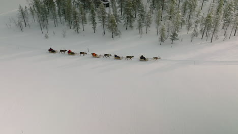 People-Ride-Reindeer,-Popular-Excursion-In-Snowy-Field-Of-Muonio-In-Finland