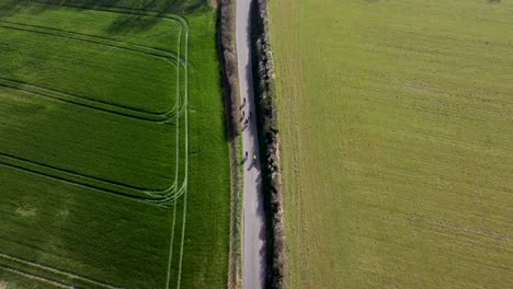 Drone-shot-chasing-6-amateur-cyclists-along-a-quiet-country-road-in-the-English-countryside