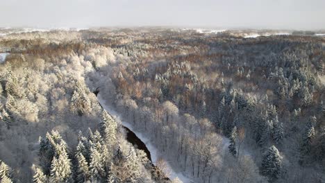 Wunderschöne-Weite-Wälder-In-Litauen,-Die-Mit-Einer-Weißen-Schneeschicht-Bedeckt-Sind,-Während-Ein-Dunkler,-Gewundener-Fluss-An-Einem-Bewölkten-Tag-Ruhig-Zwischen-Den-Bäumen-Fließt