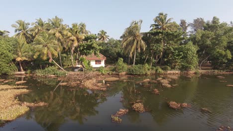 Tropische-Vegetation-An-Flussufern-In-Alappuzha-Oder-Alleppey,-Indien