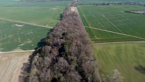 A-long-tree-line-in-the-stunning-British-countryside-from-a-high-drone
