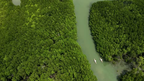 Aerial-drone-of-mangroves-with-river-and-two-boats-in-Thailand