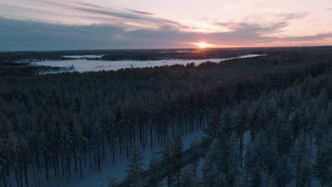 Camino-De-Invierno-En-Un-Denso-Matorral-Durante-La-Hora-Dorada-En-Finlandia