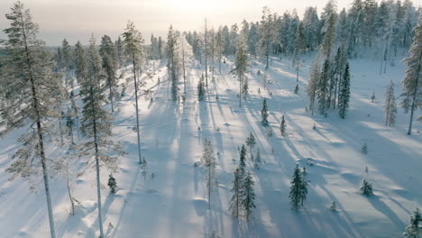 Campo-Nevado-Y-Bosque-En-Invierno,-Rovaniemi,-Laponia,-Finlandia---Toma-Aérea-De-Drones