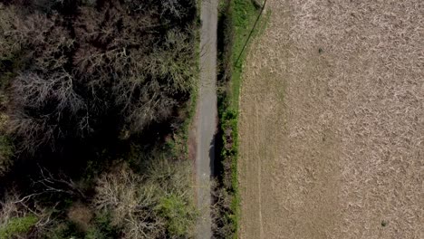 Vista-Lenta-De-Pájaro-Desde-Un-Dron-Que-Muestra-Una-Carretera-Rural-Con-Campo-Y-árboles