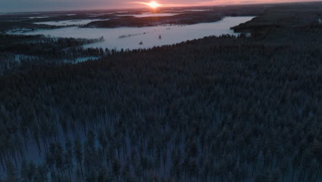 Dichtes-Dickicht-In-Der-Schneelandschaft-Offenbarte-Goldenes-Sonnenlicht-Während-Des-Sonnenuntergangs-In-Finnland