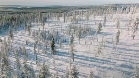 Sonnenlicht-Durch-Den-Winterlichen-Wald-Während-Des-Sonnenuntergangs-In-Rovaniemi,-Finnland