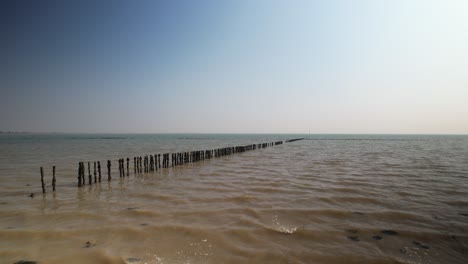 old-fish-traps-posts-in-sea