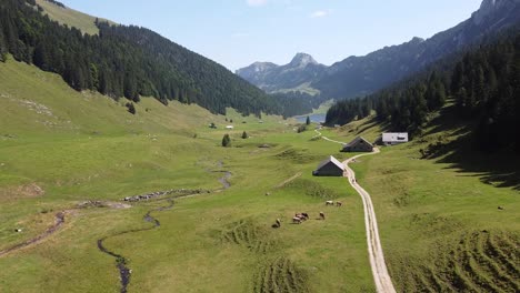 Ruta-De-Senderismo-En-Los-Alpes-Suizos-En-Suiza