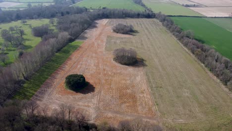 Große-Büsche-In-Der-Britischen-Landschaft-Von-4k-Drohne