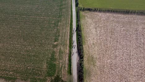 Aerial-view-of-a-group-of-cyclists-along-a-quiet-country-road-in-the-English-countryside