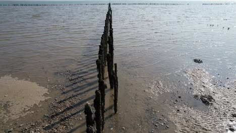 Row-of-posts-stick-out-of-mud-on-River-blackwater-Essex-UK-view-from-drone