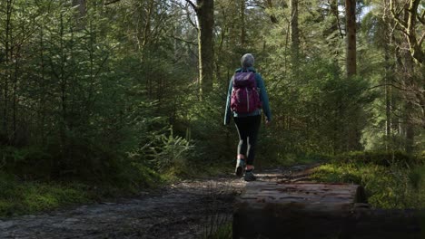 A-woman-walks-past-a-camera-at-ground-level-while-hiking-through-a-lush,-green-coniferous-forest-as-shafts-of-sunlight-highlight-the-trees-and-walking-trail