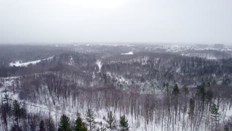 Winter-Valley-Hilly-Landscape-Aerial-Reveal-of-dense-forest-during-snow-storm,-Rouge-Park-Toronto