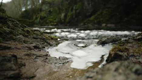 Bubbles-of-foam-in-focus-in-the-foreground-float-on-the-surface-of-a-Scottish-river-and-slowly-lap-against-the-river-bank-while-a-fast-flowing-river-rushes-past-a-moss-covered-cliff-in-the-background