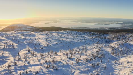 Fliegen-über-Schneebedeckte-Bäume-Auf-Dem-Hügel-In-Skandinavien-An-Einem-Sonnigen-Wintertag