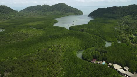 Aerial-pan-left-of-mangrove-forest-and-ocean
