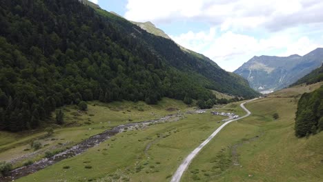 Spanish-Pyrenees,-Spain---Aerial-Drone-View-of-Motorhomes-Chilling-at-a-the-Green-Valley