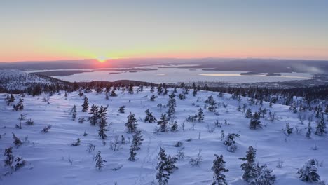 Flying-Above-Snow-Covered-Sparse-Woodland-On-Mountain-Slope-At-Sunset