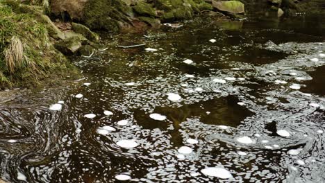 Time-lapse-of-swirling-bubbles-of-white-foam,-drifting-and-floating-on-the-surface-of-water-in-a-Scottish-river-in-a-constantly-changing-pattern-of-organic-shapes