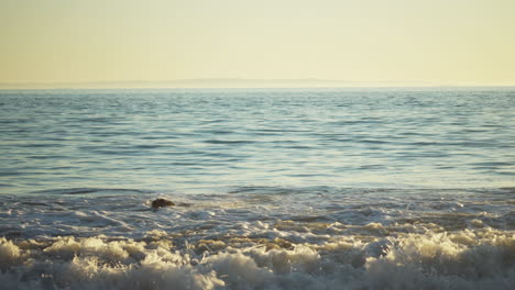 Dog-swimming-inside-ocean-water,-beach-in-California